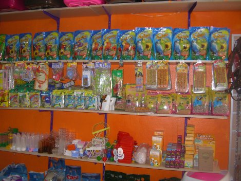 URLA, ÇEŞME, GÜZELBAHÇE, SEFERİHİSAR, KARABURUN, URLADA PETSHOP, PET SHOP