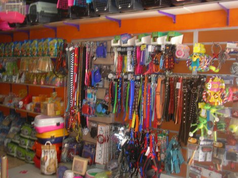 URLA, ÇEŞME, GÜZELBAHÇE, SEFERİHİSAR, KARABURUN, URLADA PETSHOP, PET SHOP