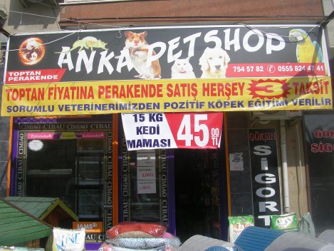 URLA, ÇEŞME, GÜZELBAHÇE, SEFERİHİSAR, KARABURUN, URLADA PETSHOP, PET SHOP