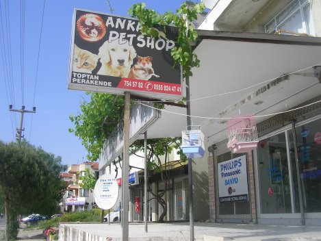 URLA, ÇEŞME, GÜZELBAHÇE, SEFERİHİSAR, KARABURUN, URLADA PETSHOP, PET SHOP