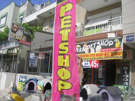 URLA, ÇEŞME, GÜZELBAHÇE, SEFERİHİSAR, KARABURUN, URLADA PETSHOP, PET SHOP