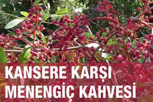 FİNCANDA PİŞEN TÜRK KAHVESİ, İZMİR MENENGİC KAHVESİ, CAFE