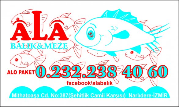 ALA BALIK PİŞİRİCİSİ,NARLIDERE BALIK PİŞİRİCİSİ, NARLIDEREDE BALIKÇI,PAKET SERVİS