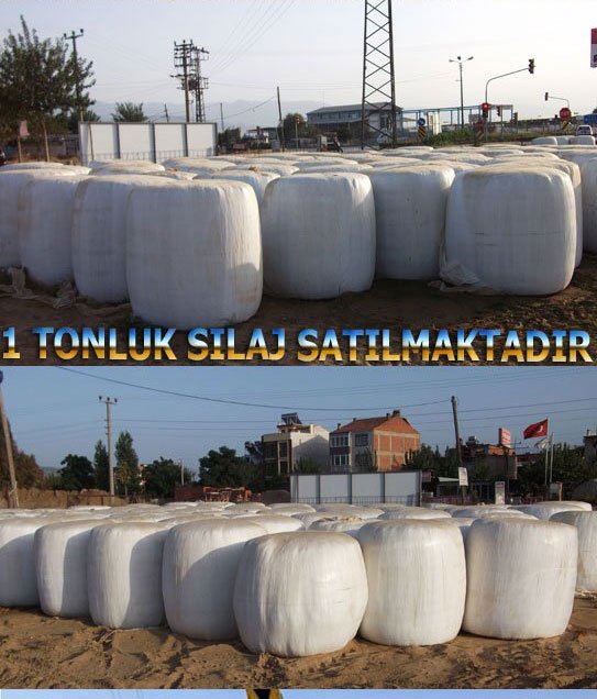 ÖDEMİŞTE SILAJ, ÖDEMİŞTE SILAJCILIK, SILAJ SATIŞI,ÖDEMİŞ PAKET SILAJ,TONLUK SILAJ